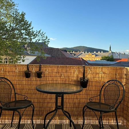 Zum Breyer Bnb City Apartment Baden Buitenkant foto